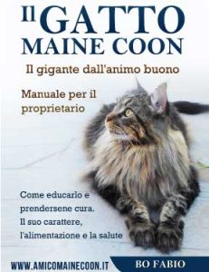 Il-gatto-Maine-Coon-Ebook