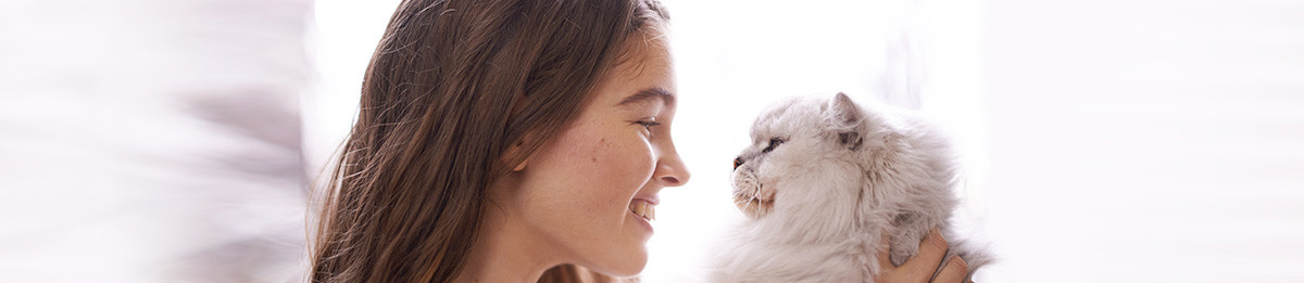 pet food - cibo per gatti