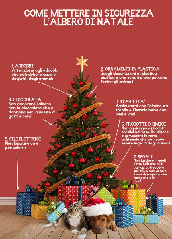 come-affrontare-natale-con-il-gatto