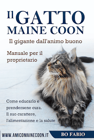 Ebook il gatto Maine Coon