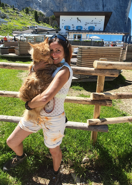 gatto Maine Coon in vacanza in montagna